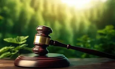 TJMT paralisa recuperação judicial do Grupo Safras por "indícios contundentes" de fraude, como documentos irregulares e ocultação de bens.