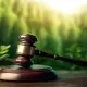 TJMT paralisa recuperação judicial do Grupo Safras por "indícios contundentes" de fraude, como documentos irregulares e ocultação de bens.