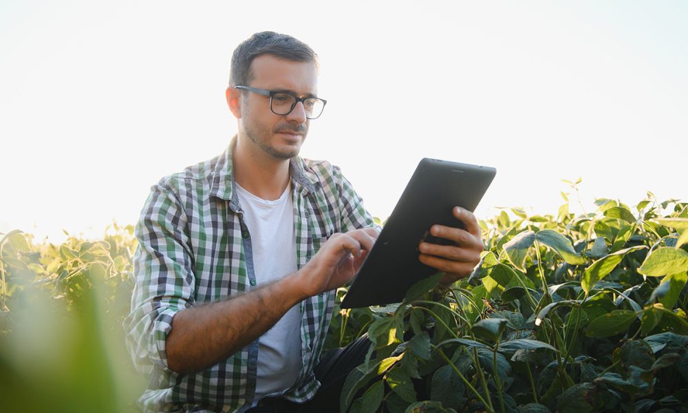 Declarando a Atividade Rural no IRPF 2025: Com eBook Grátis