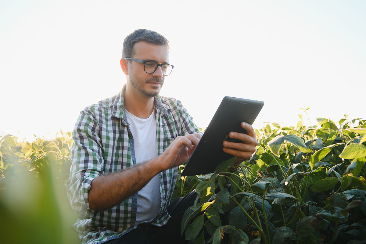 Declarando a Atividade Rural no IRPF 2025: Com eBook Grátis