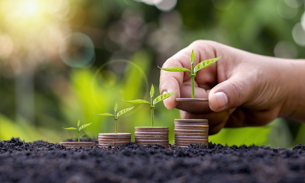 Reforma Tributária e o Agro: Novo IVA Traz Benefícios, Mas Exige Adaptação e Cautela do Produtor