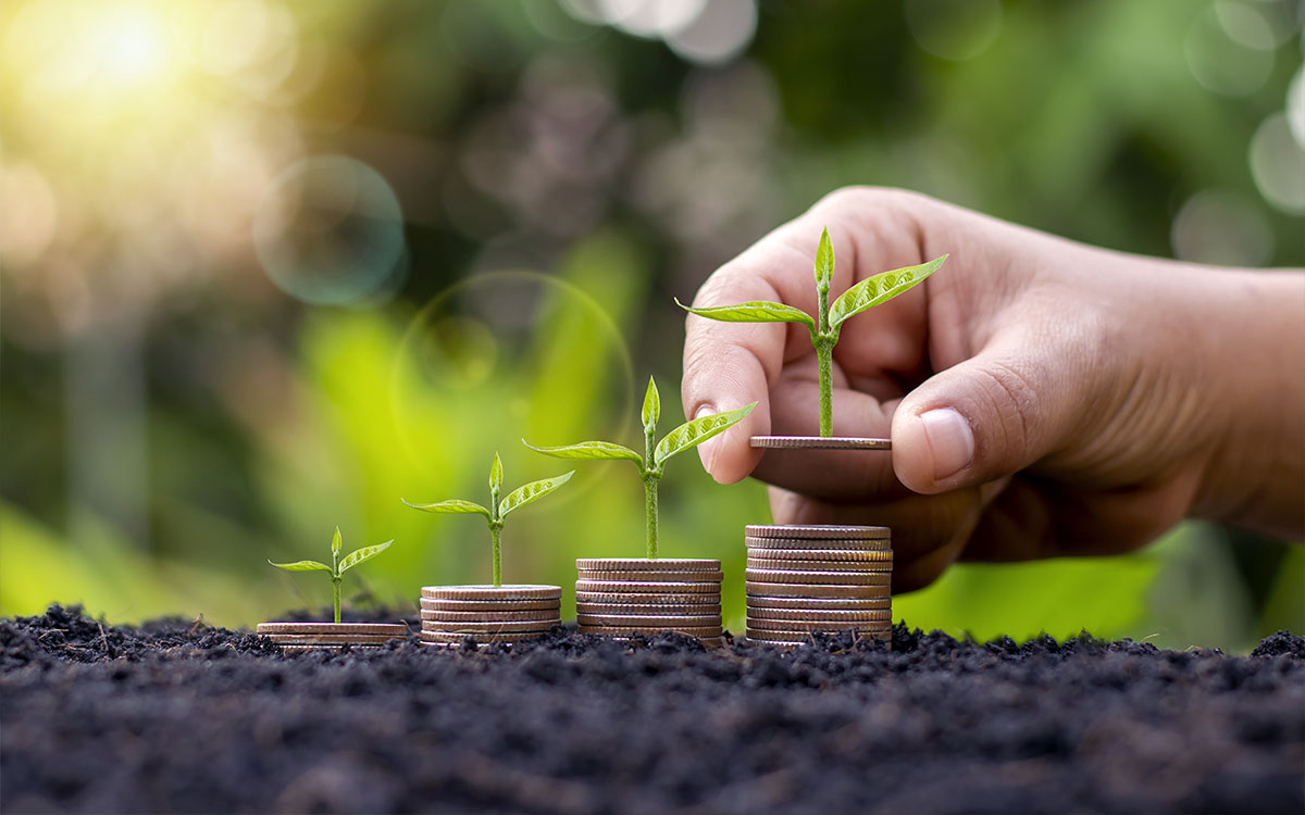 Reforma Tributária e o Agro: Novo IVA Traz Benefícios, Mas Exige Adaptação e Cautela do Produtor