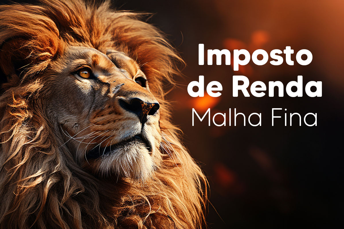 Blindagem patrimonial: como proteger bens sem cair na malha fina da Receita Federal