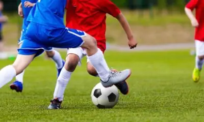 Qual região brasileira domina os volumes de apostas esportivas?