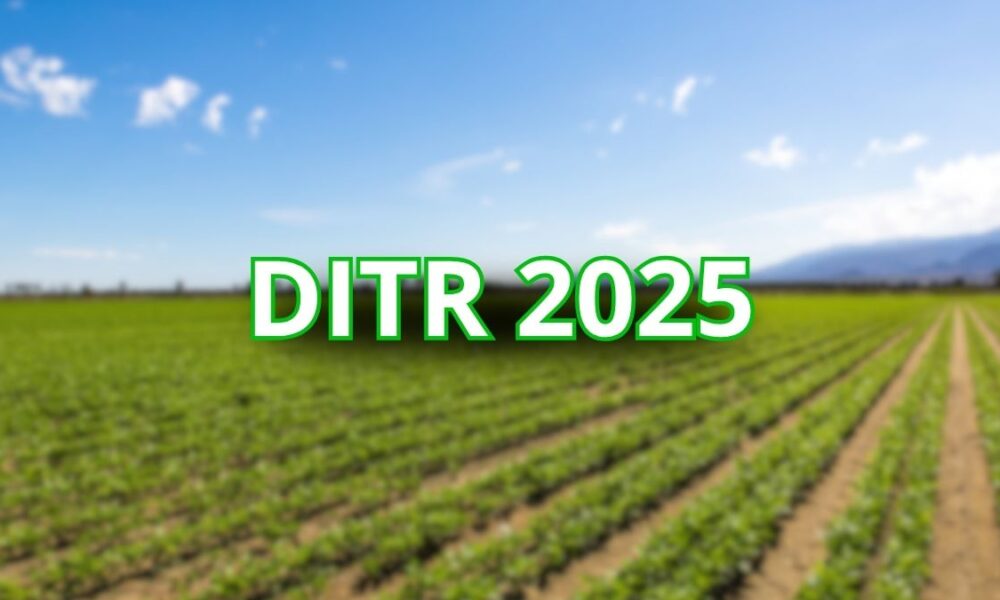 DITR 2025 veja as regras e prazos para entrega