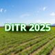 DITR 2025 veja as regras e prazos para entrega