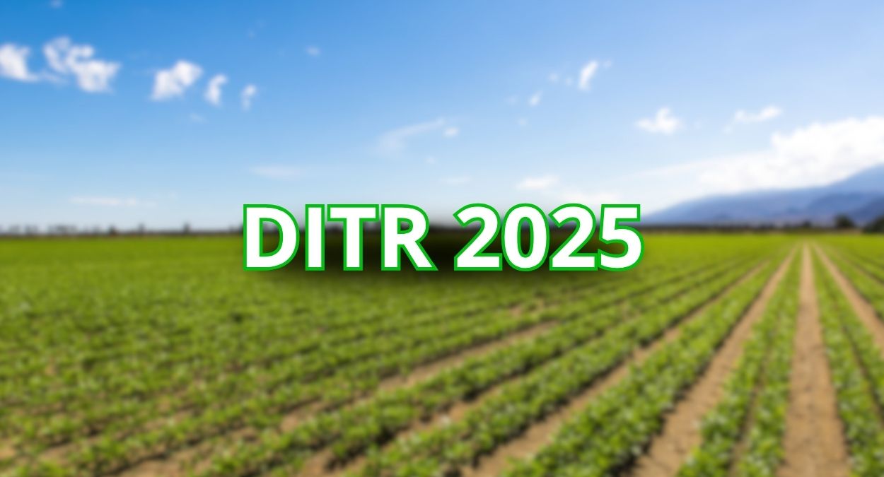DITR 2025 veja as regras e prazos para entrega