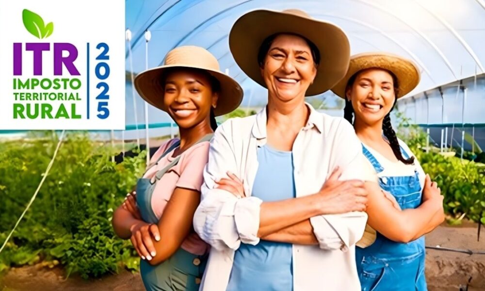 Receita Federal disponibiliza sistema online para entrega da DITR 2025