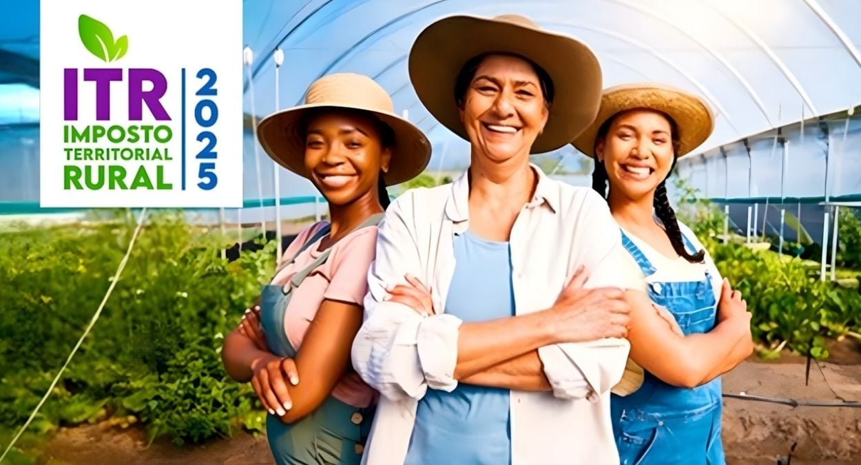 Receita Federal disponibiliza sistema online para entrega da DITR 2025