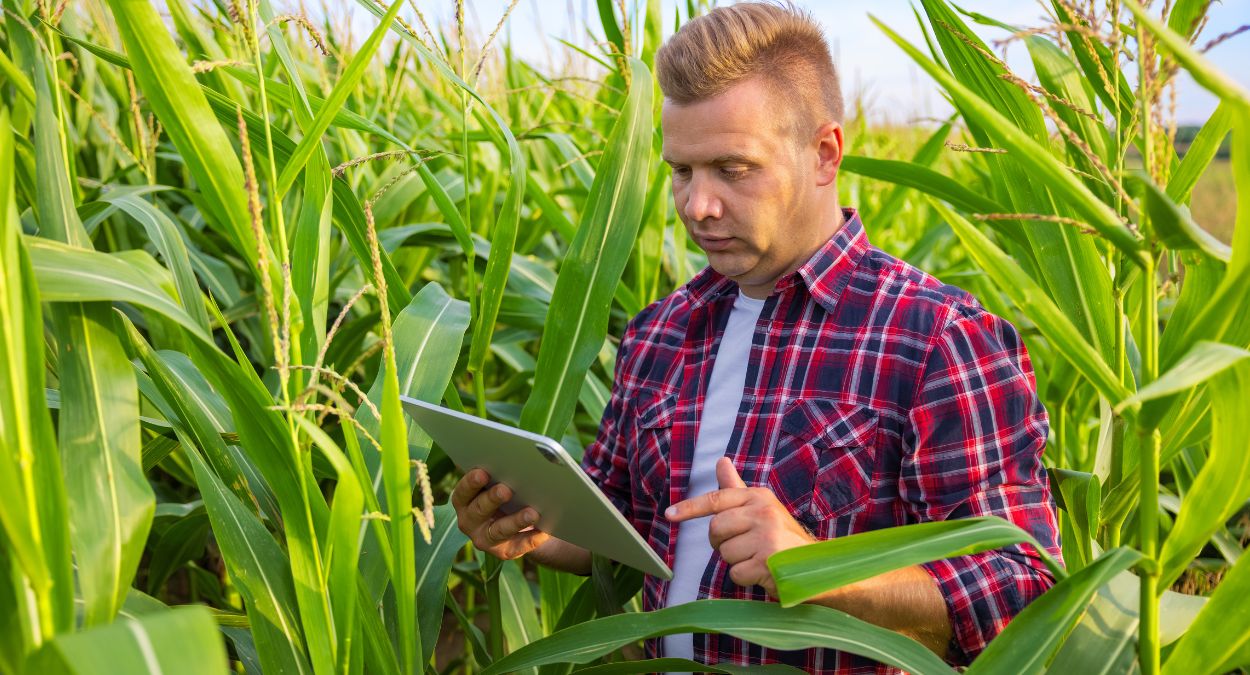 Últimos dias para a entrega da DITR 2025. Prazo vence nesta terça (30)