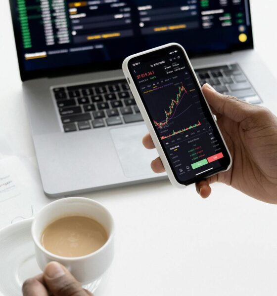 Consultoria de investimentos: o que é e por que é importante