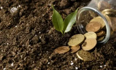 agronegócio / imagem: freepik